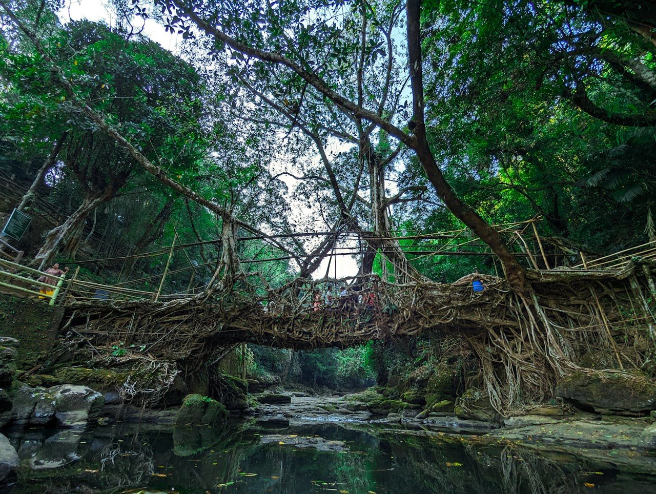Meghalaya’s Living Root Bridges Trek